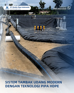Sistem Tambak Udang