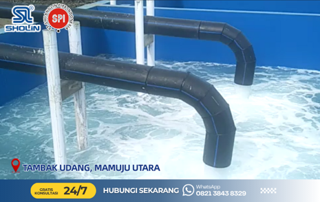 Tambak Udang, Mamuju Utara